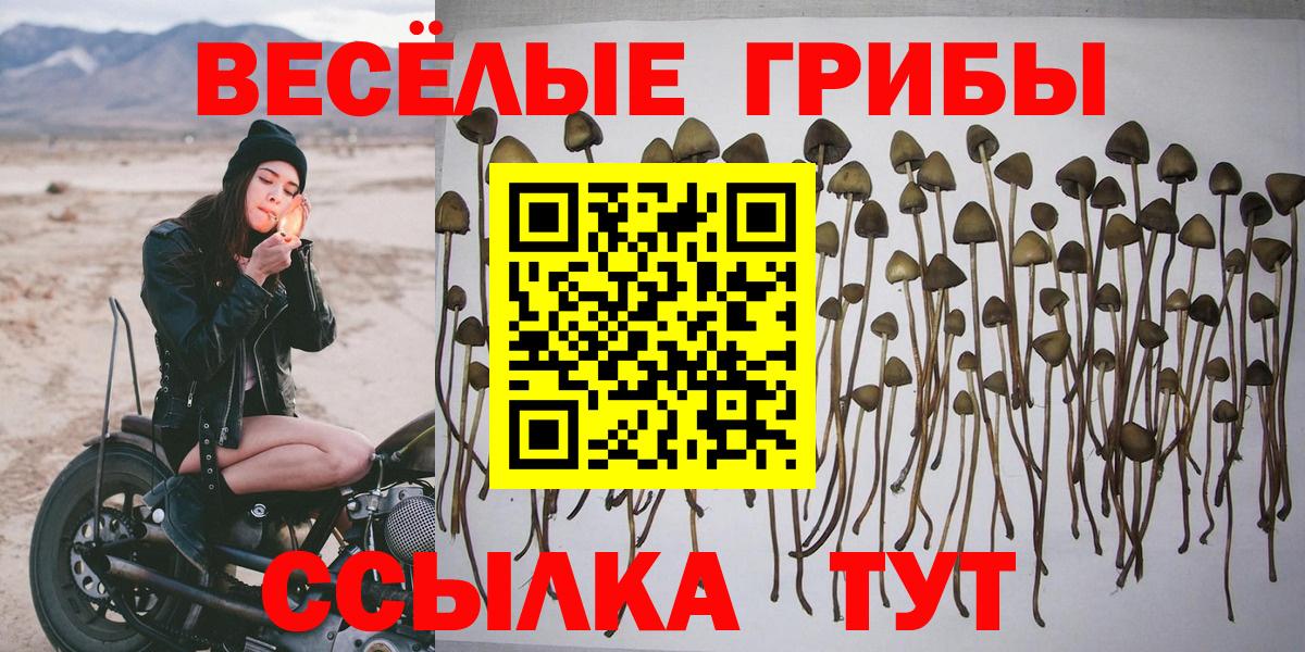 Псилоцибиновые грибы MAGIC MUSHROOMS Кировск