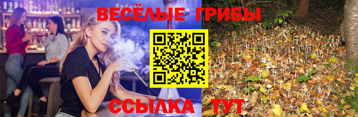 Марихуана Кировск